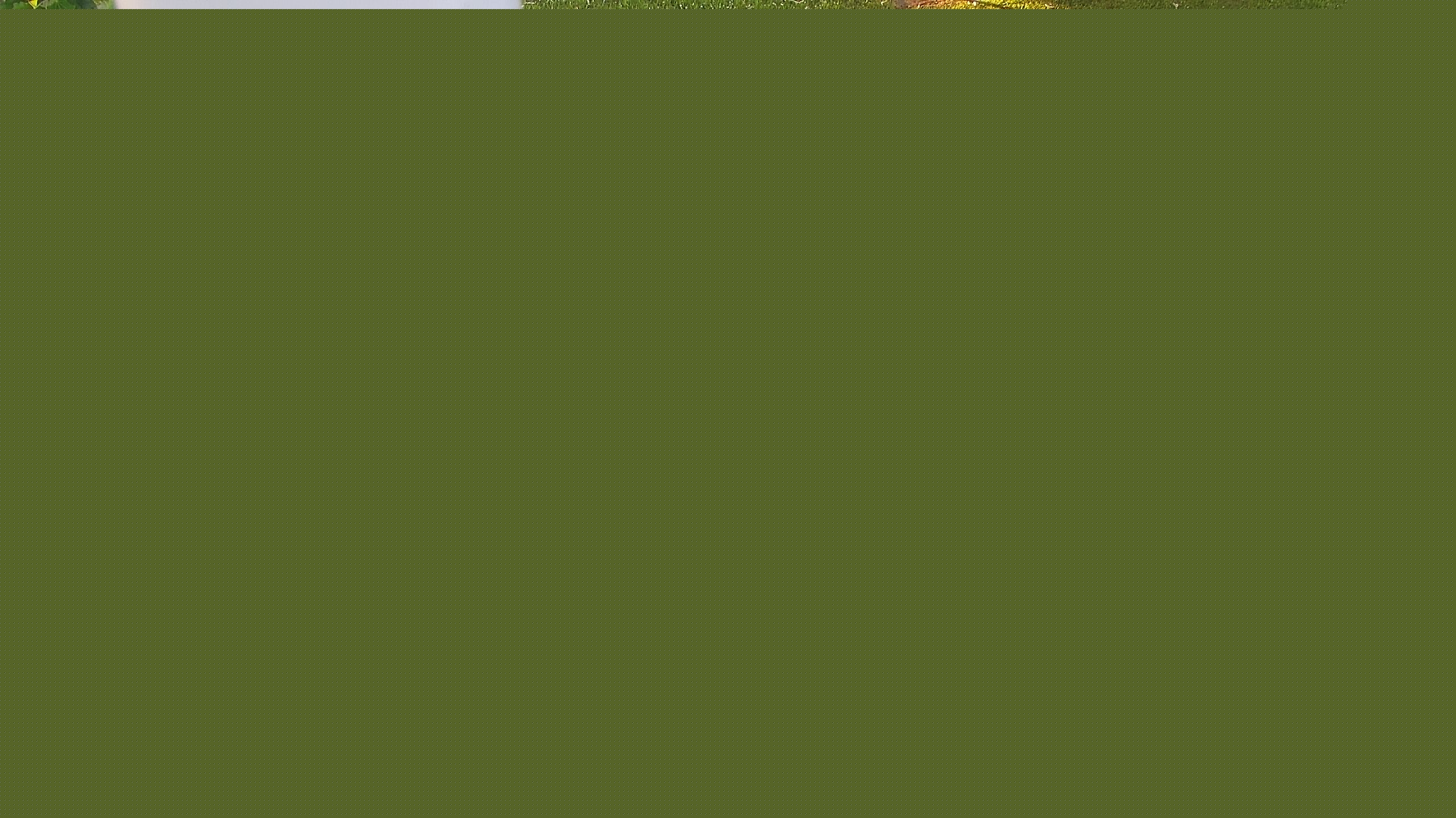 Ein Bild von der Zicksee Webcam.