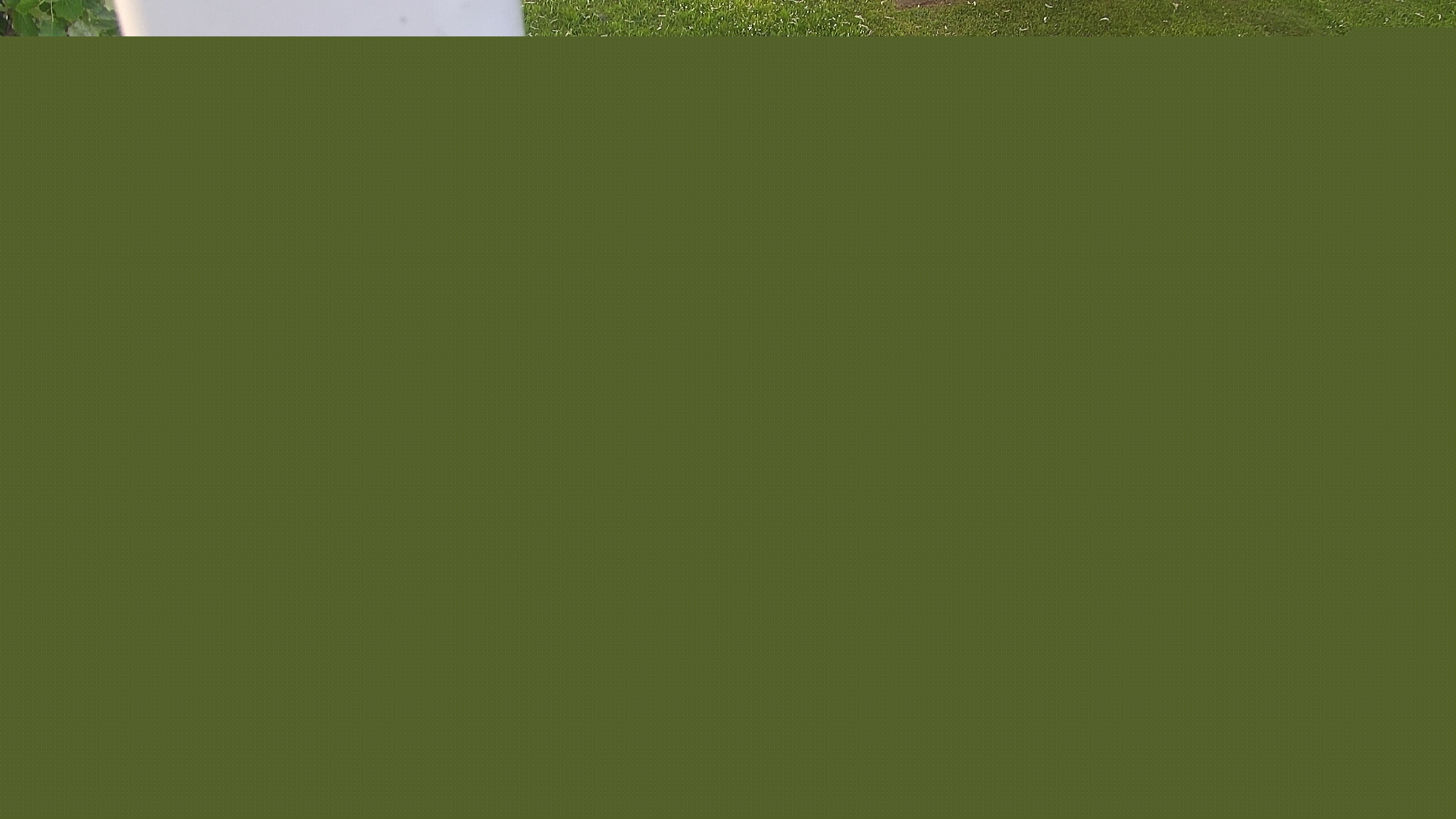 Ein Bild von der Zicksee Webcam.