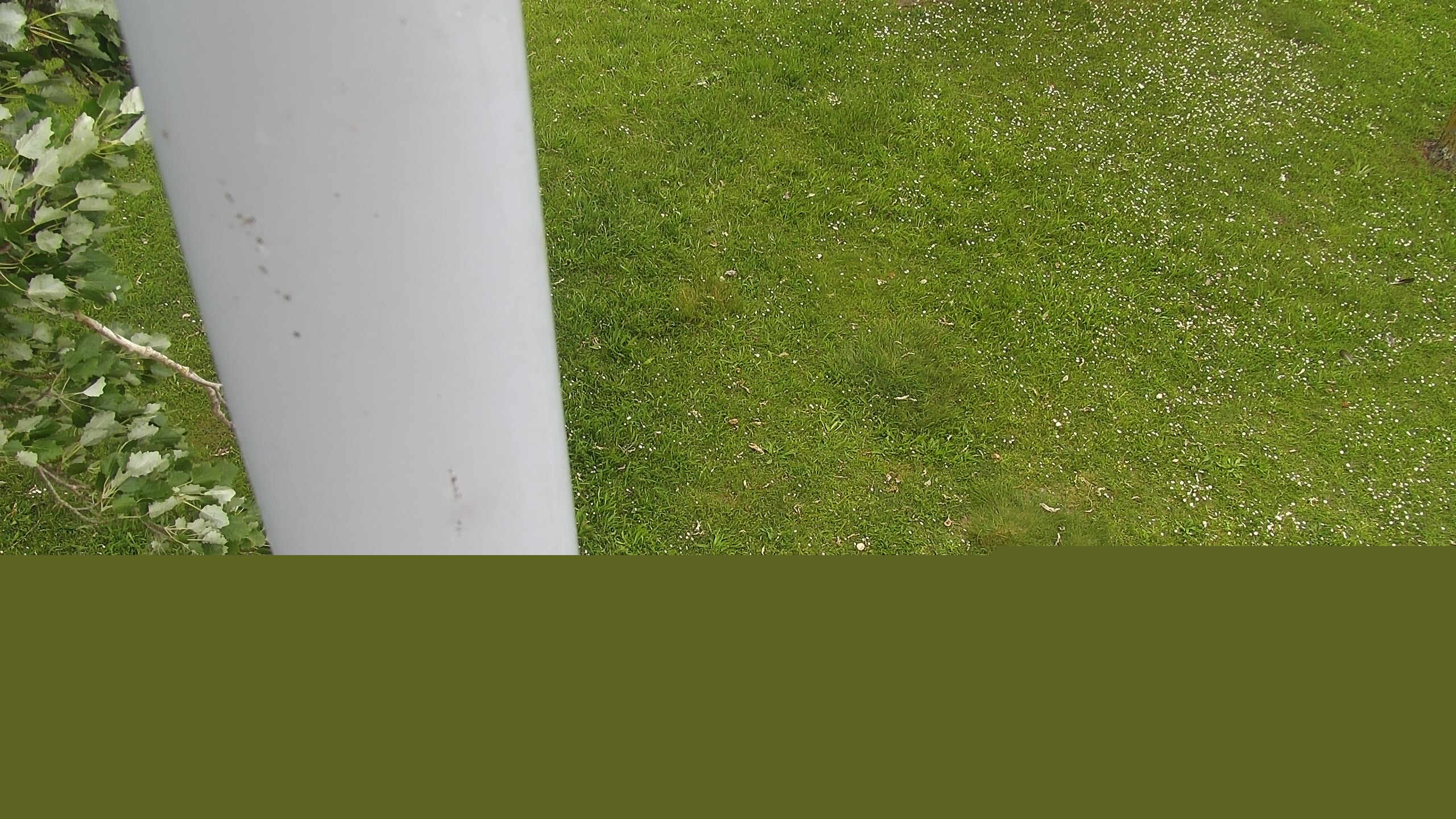 Ein Bild von der Zicksee Webcam.