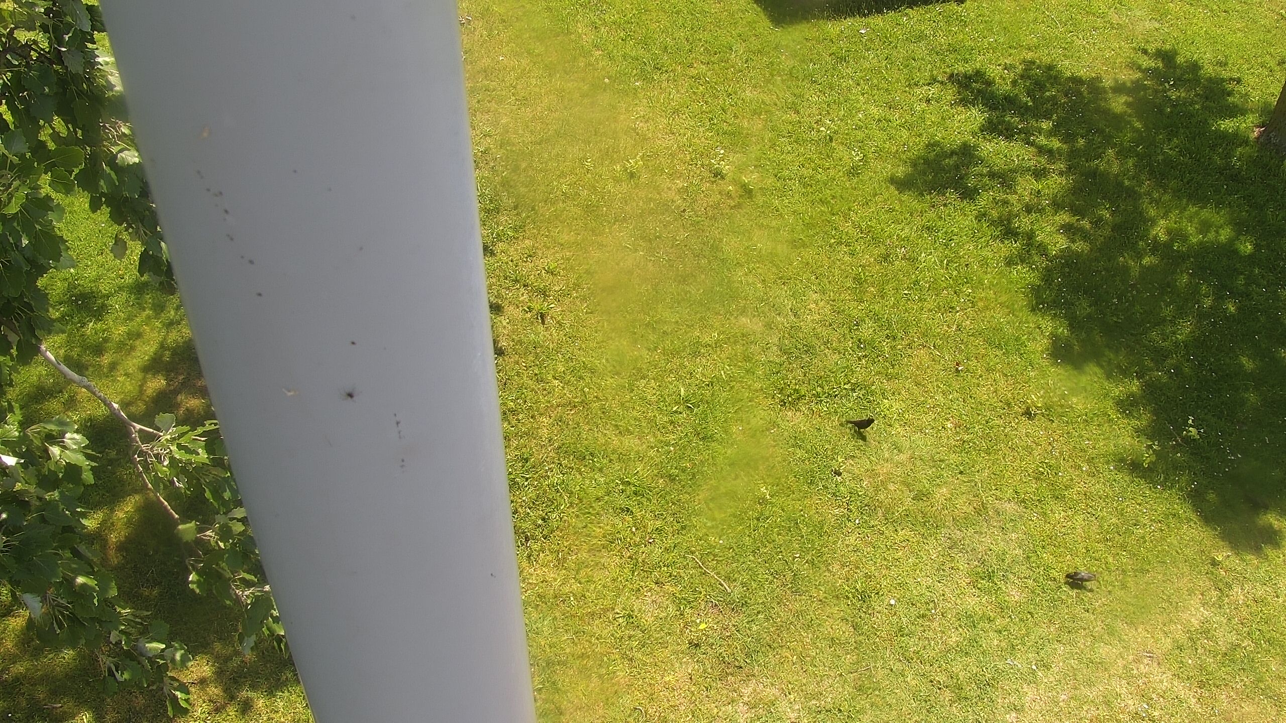 Ein Bild von der Zicksee Webcam.
