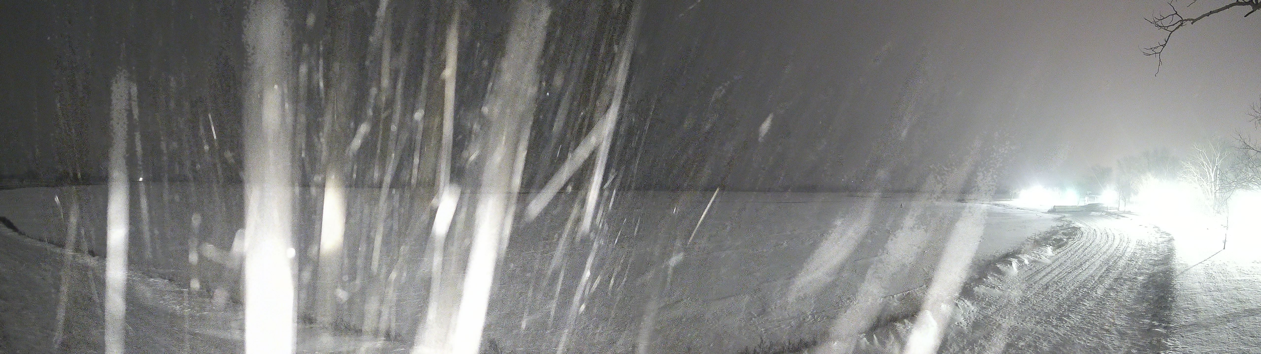 Ein Bild von der Zicksee Webcam.